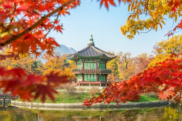 Explore l'automne en asie du sud-est : un parfum sur mesure