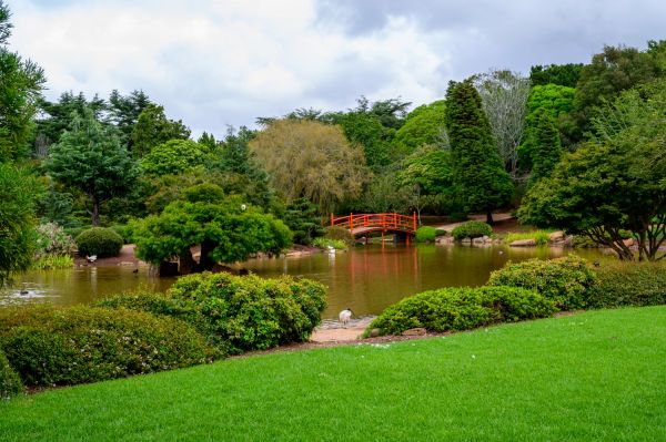 L'Enchanteur Voyage des Artistes : Découvrez les Secrets des Jardins de Giverny